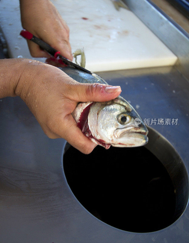 用剪刀去骨/清洗鲜鱼(特写)